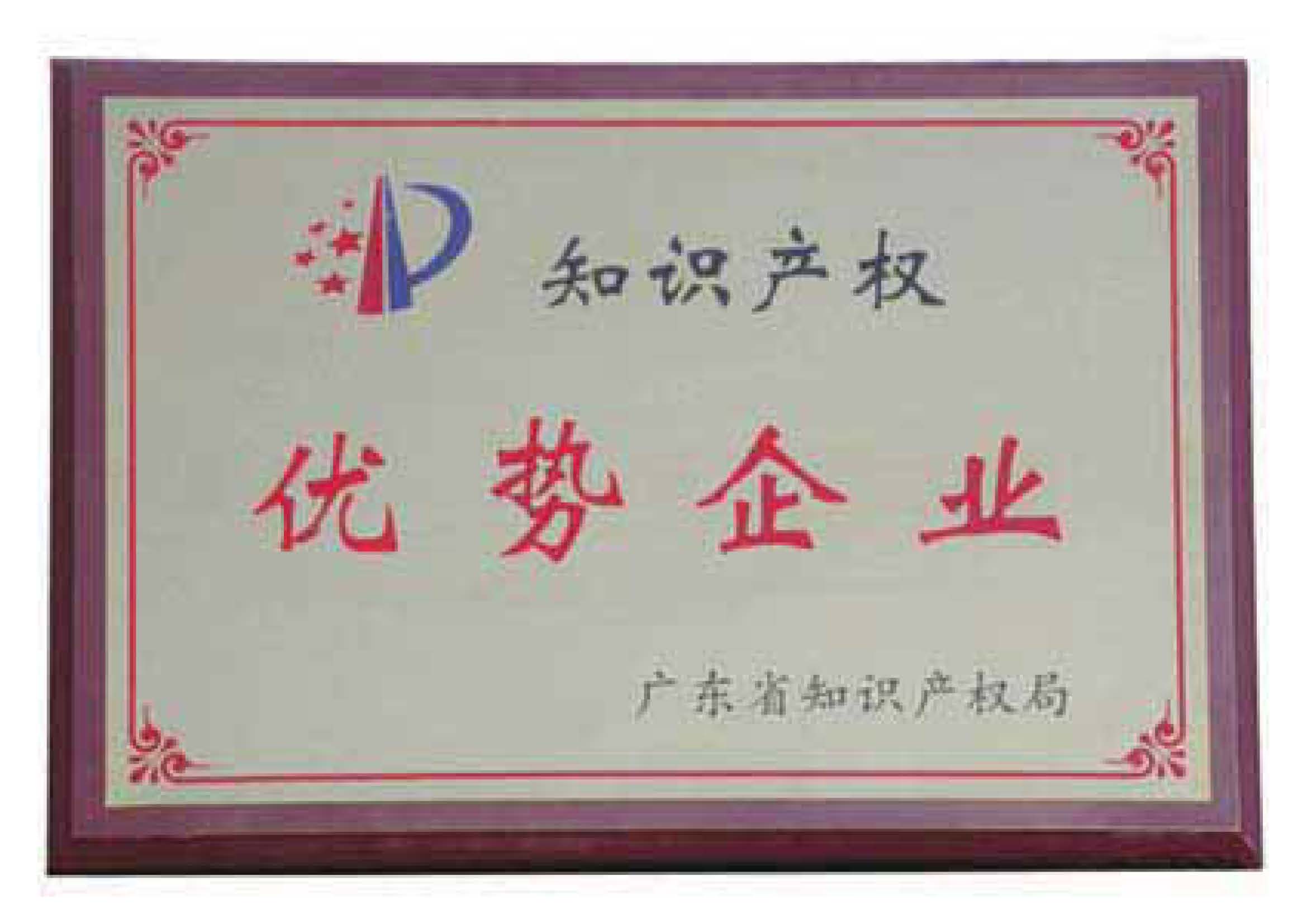 廣東省知識(shí)產(chǎn)權(quán)優(yōu)勢企業(yè)